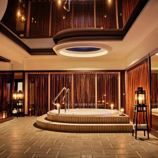 The Amber Business & Spa Hotel，位于Stradomia Wierzchnia的酒店