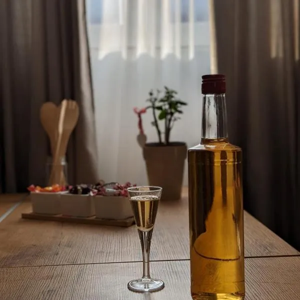 Smestaj Dzentlmen，位于索科矿泉村的酒店
