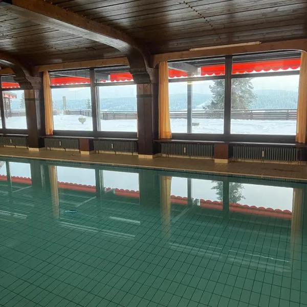 Apartment Schwarzwald-Anni Pool Tennis Sauna，位于Obertal的酒店