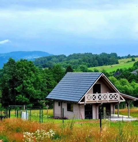 Domek pod Ostoją Góry Sowie，位于Łomnica的酒店