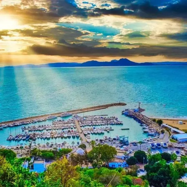 La deuxième perla sidi bou said，位于西迪·布·赛义德的酒店