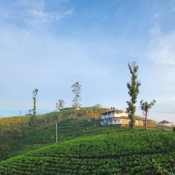 Tranquil Ridge Hilltop Bungalow，位于Dikoya的酒店