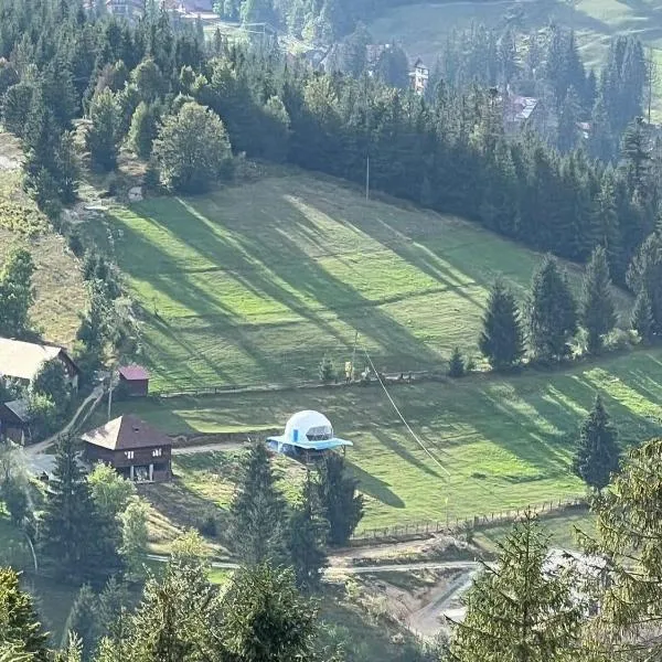 WildGlampingArieseni，位于阿列谢尼的酒店