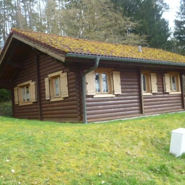 Ferienhaus Chalet Blockhaus Bayern，位于Rötz的酒店