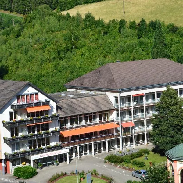 巴特彼得斯特尔酒店，位于Bad Peterstal的酒店
