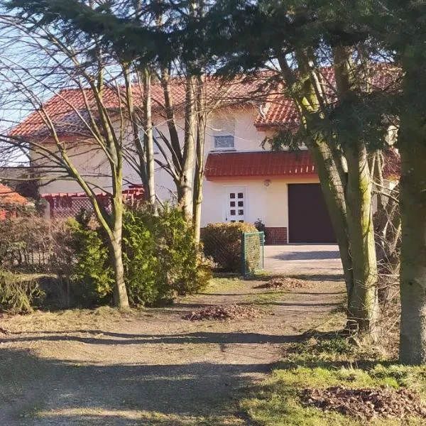 Ferienwohnung Im Grünen，位于Halbendorf的酒店