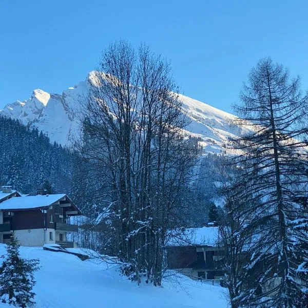 Les bouquetins，位于拉克吕萨的酒店