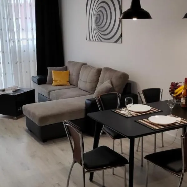 Apartament na Malczewskiego，位于缅济热奇的酒店