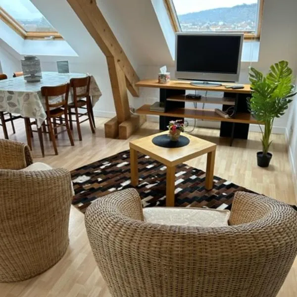 Appartement - Stiring-Wendel，位于Stiring-Wendel的酒店