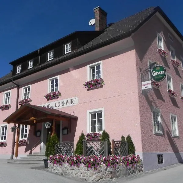 多夫维特酒店，位于Selzthal的酒店