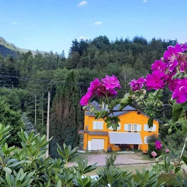 Gîte forestier du Moulin (10 pers)，位于Raon-sur-Plaine的酒店