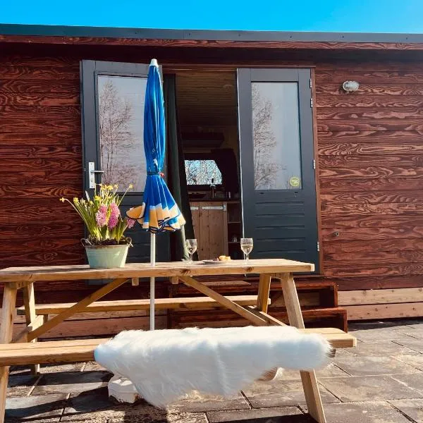 Tinyhouse Spiegelpeer，位于鲁茵乌尔德的酒店