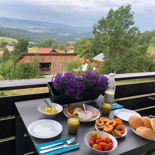 Apartment Panoramablick 2，位于Böbrach的酒店