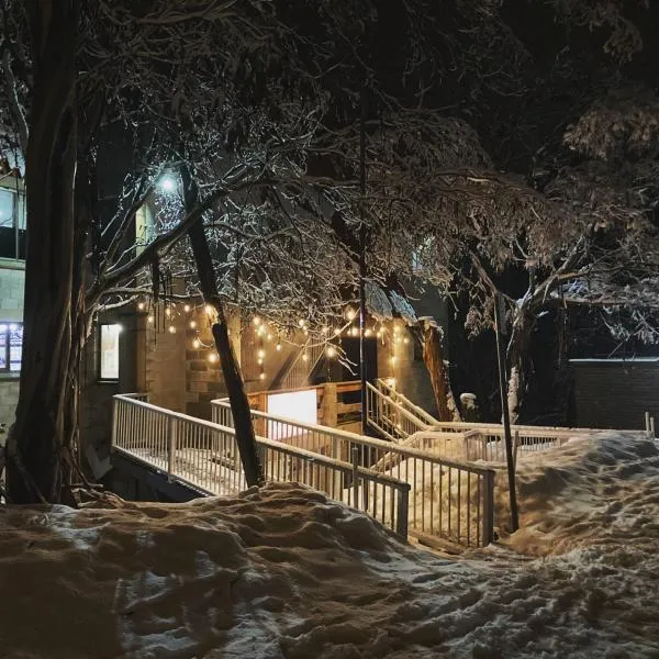 Lakeside Falls Creek，位于福尔斯克里克的酒店
