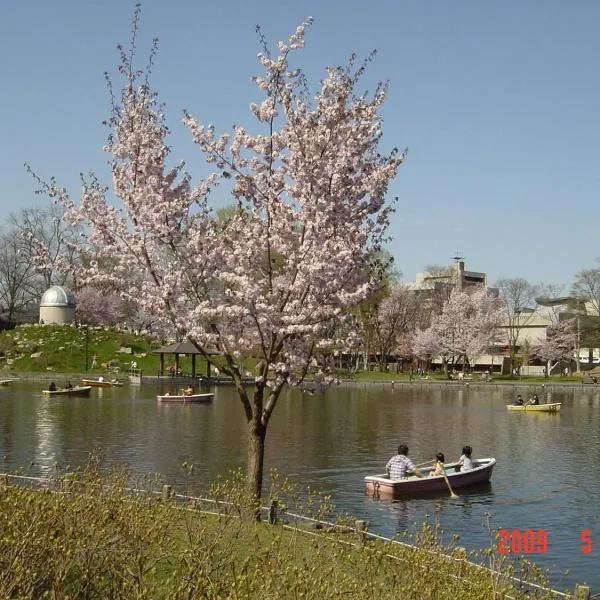 米玛特苏索旅馆，位于东川町的酒店