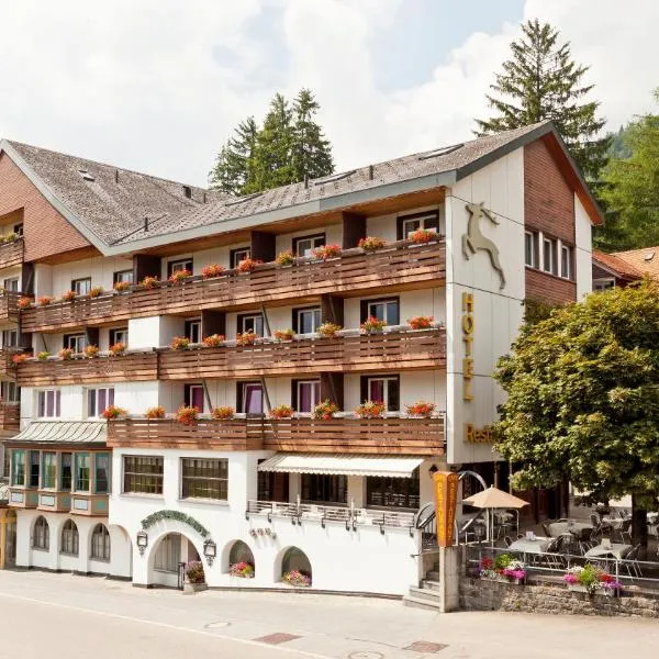 Hotel Hirschen Wildhaus，位于维尔德豪斯的酒店