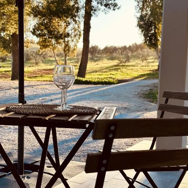 Agricampeggio La Piaggia - Agriturismo，位于皮昂比诺的酒店
