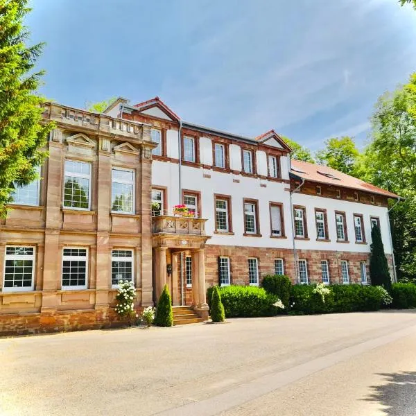 Ambiente Deluxe - Schloss Falkenhorst，位于小布利特斯多夫的酒店