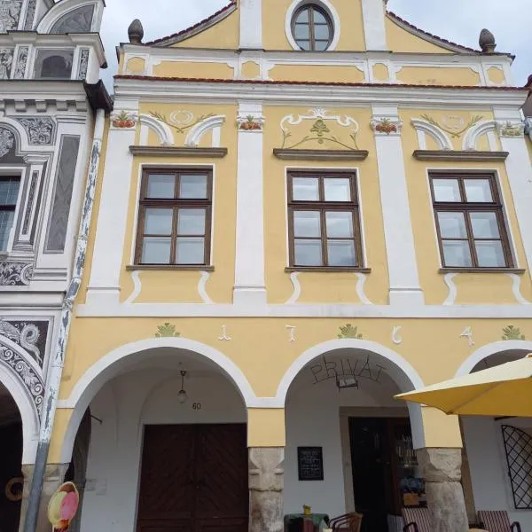 Apartmán U Jarošů，位于泰尔奇的酒店
