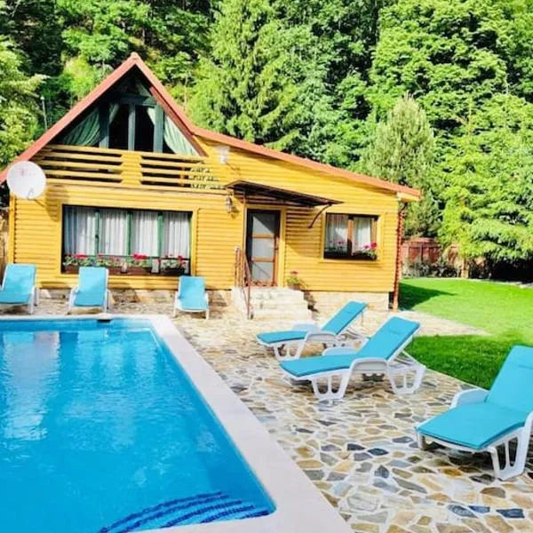 River House Transylvania，位于Frăsinet的酒店