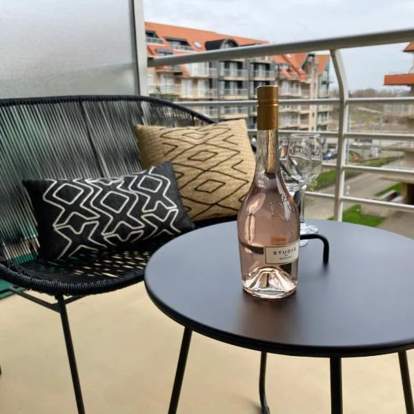 Petit plage Nieuwpoort-Bad，位于尼乌波特的酒店