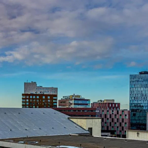 Iceland SJF Apartments - 503，位于雷克雅未克的酒店
