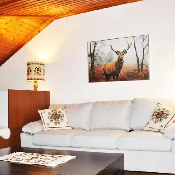 Cozy Loft with Fireplace & View，位于美特索文的酒店