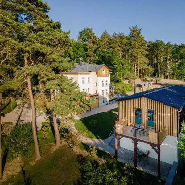 Waldidylle Gohrisch, Pension & Ferienwohnung Garni, Sächsische Schweiz，位于卡劳特格瑞斯赫的酒店