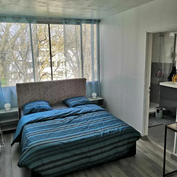 Chambre d'hôte au PARC DES THIBAUDIERES，位于Boussy-Saint-Antoine的酒店