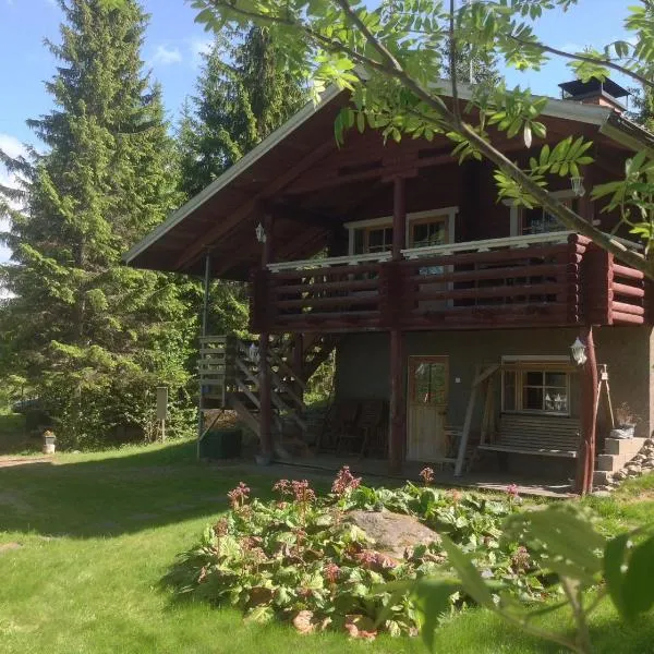 Päivänsäde Cottage，位于Vaajakoski的酒店