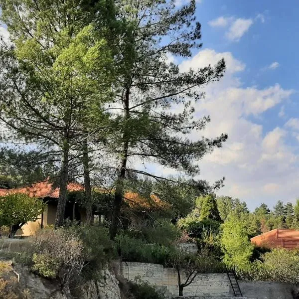 IRENE cottage，位于卡科佩特里亚的酒店