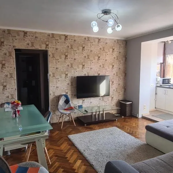 Comfort Home Apartment 1，位于彼得罗沙尼的酒店