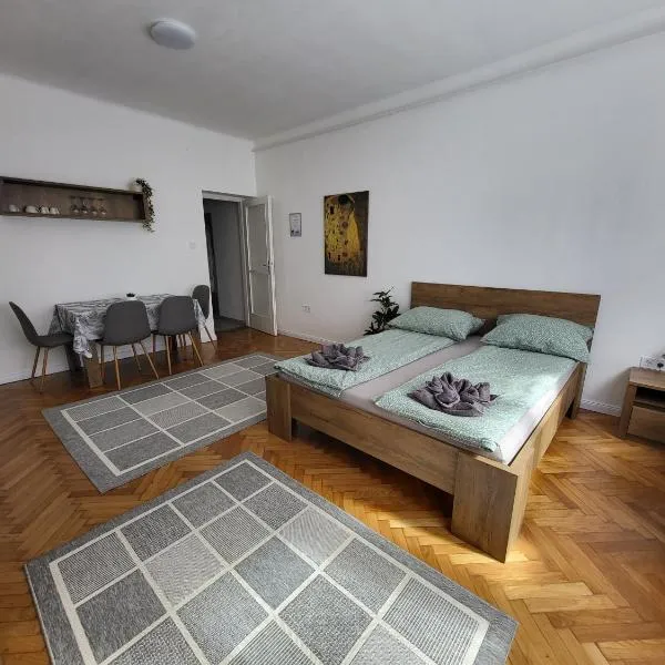 Downtown Studio Apartman，位于佩奇的酒店
