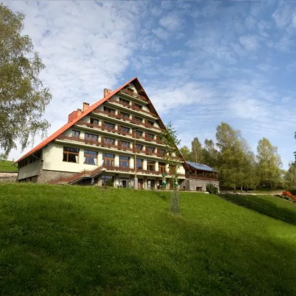 卢萨瓦酒店，位于下霍斯季内姆比斯特日采的酒店