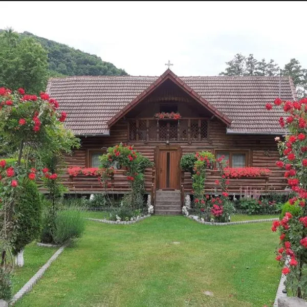 Casa Bunicii，位于Ocolişu Mic的酒店
