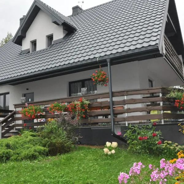 Dom nad Bliznem，位于Mołowiste的酒店