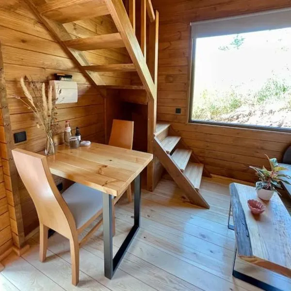 Mountain Eco Shelter 7，位于Corujeira de Dentro的酒店