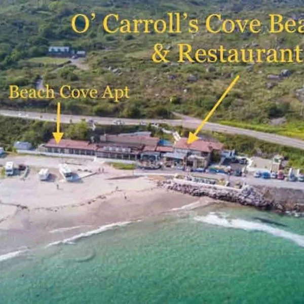 O' Carroll's Cove Accommodation - Beach Cove，位于卡赫达尼的酒店