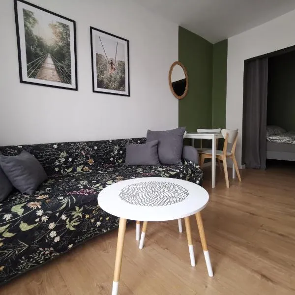 Apartament Skałka，位于希维托赫洛维采的酒店