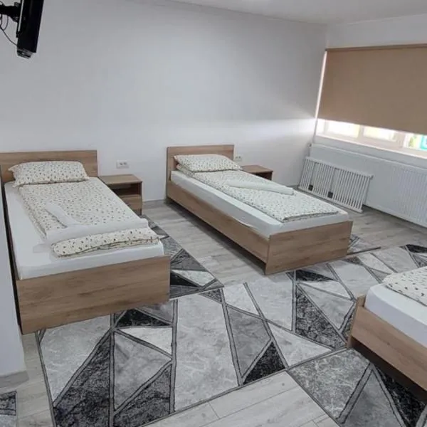 Cazare Pensiunea Ewo，位于Moraviţa的酒店