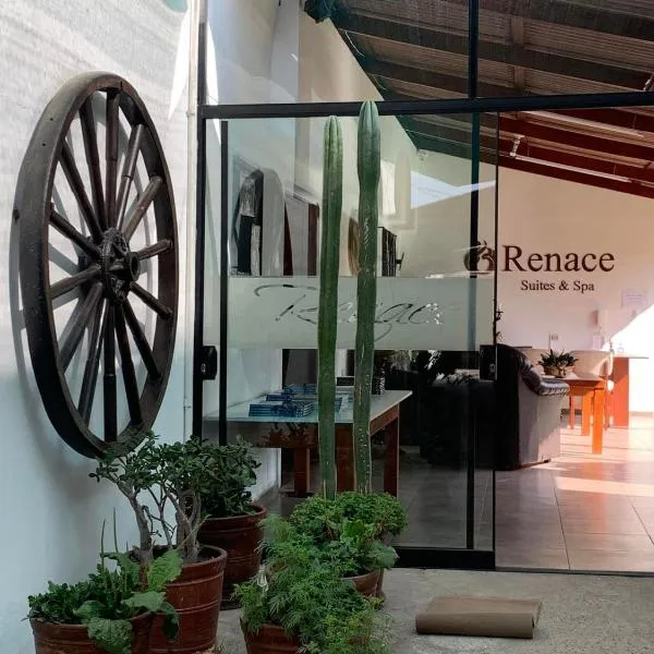 Renace Suites，位于Pachía的酒店