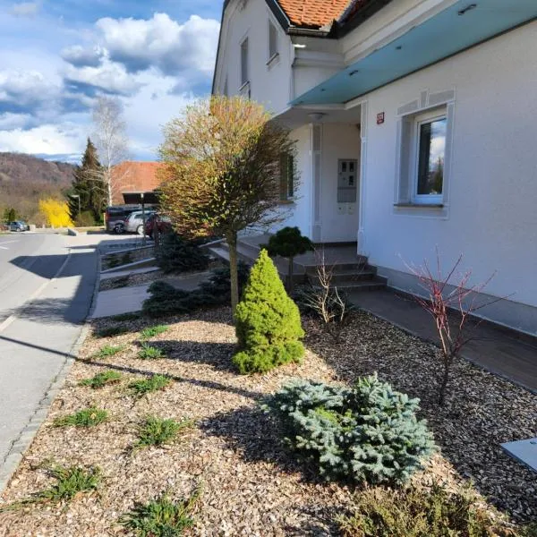 Apartma Nika，位于Planina的酒店