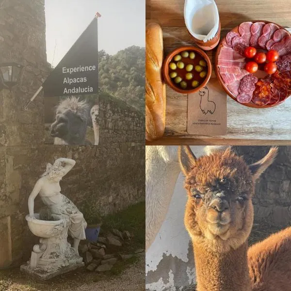 Experience Alpacas in Andalucia，位于卡尔德尼亚的酒店