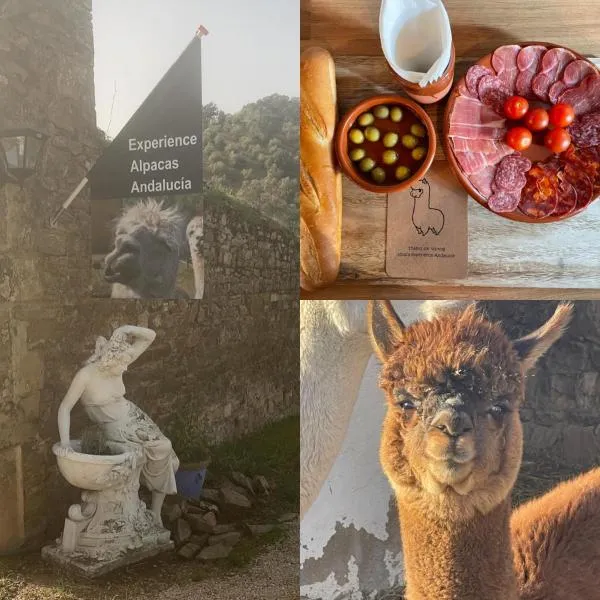 Experience Alpacas in Andalucia，位于Adamuz的酒店