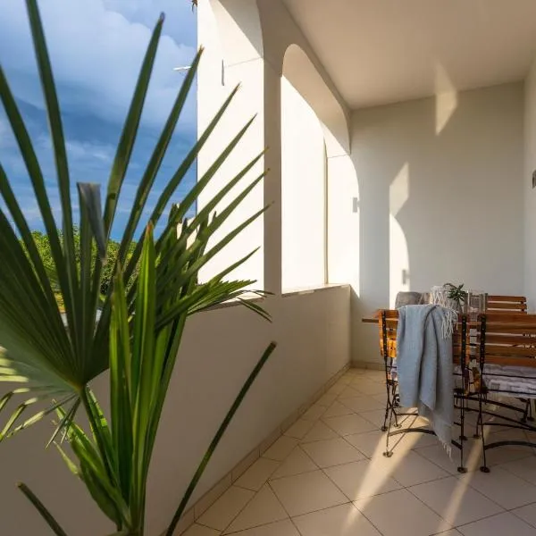 Residence Antonio - Deluxe Apartments & Rooms，位于罗维尼的酒店