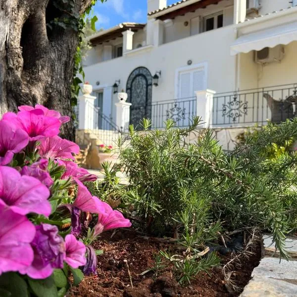 Villa Ampelaki 2，位于帕莱欧卡斯提撒的酒店