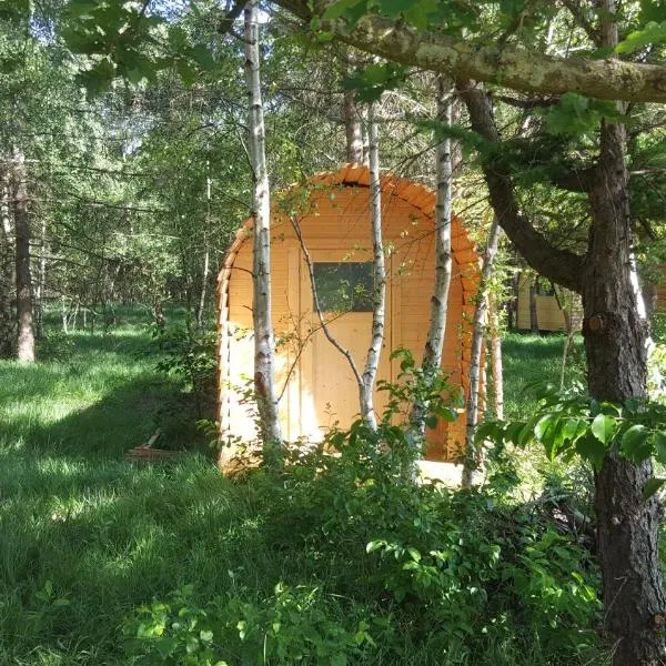 Glamping Pod im Wald mit Einzelbetten，位于多鲁姆纽菲尔德的酒店