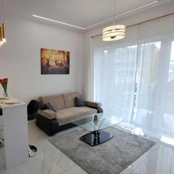 Apartament Perłowy Wellness - Laguna Beskidów，位于Bierna的酒店