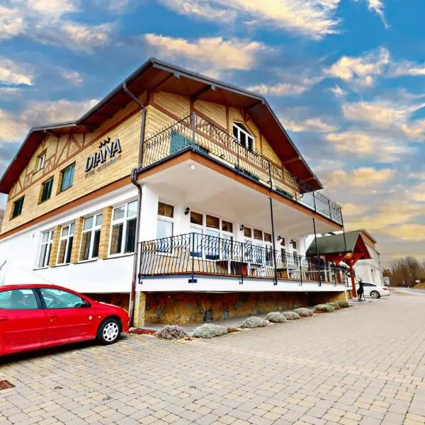 Hotel Diana，位于日利纳的酒店