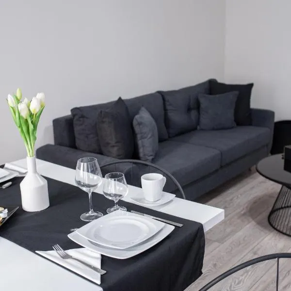 TEILOR Apartments 5，位于弗洛雷什蒂的酒店